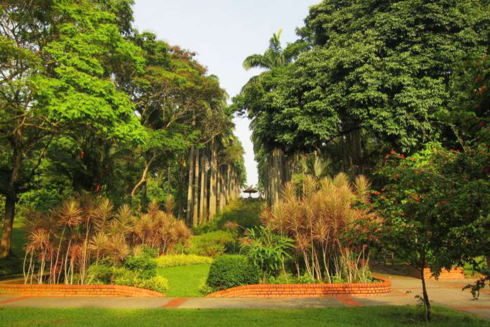 Singapore Running Parks in The North