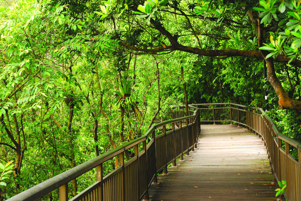 Singapore Running Parks in the South