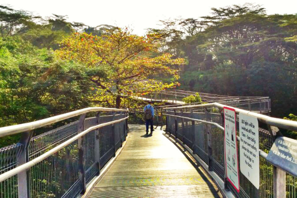 Singapore Running Parks In The Central