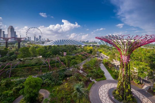 10 Best places to run in Singapore together with your children