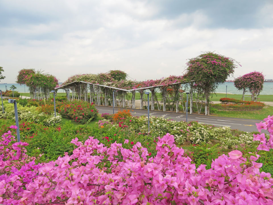 10 Best Places to Run in Singapore Together With Your Children