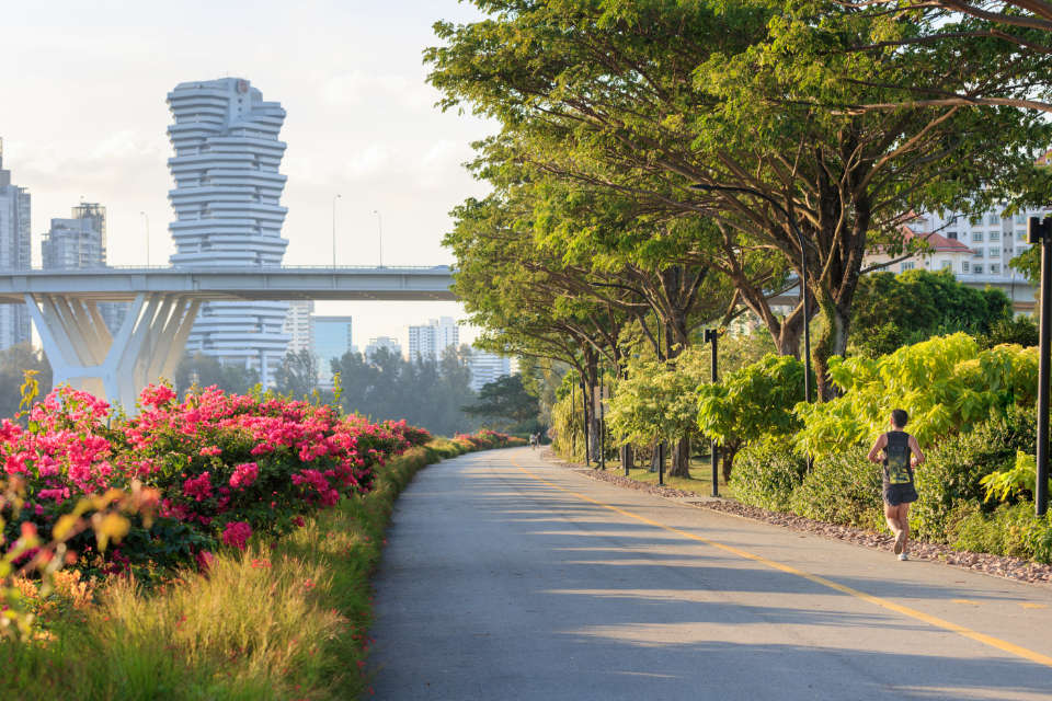 8 Best Things to Do On a Weekend in Singapore