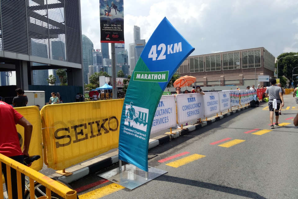 Standard Chartered Singapore Marathon (Marathon) Experience