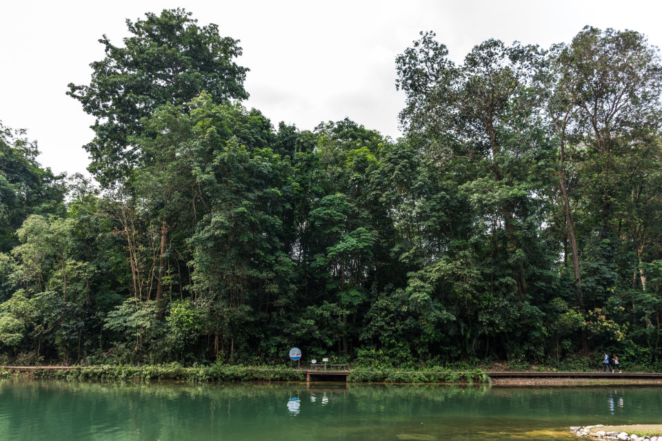 Singapore New Trail: 36km Trail Linking Jurong Lake Gardens to Coney Island Park