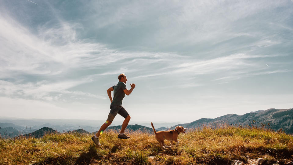 Owning a Dog Can Help You To Live Longer and Run Better
