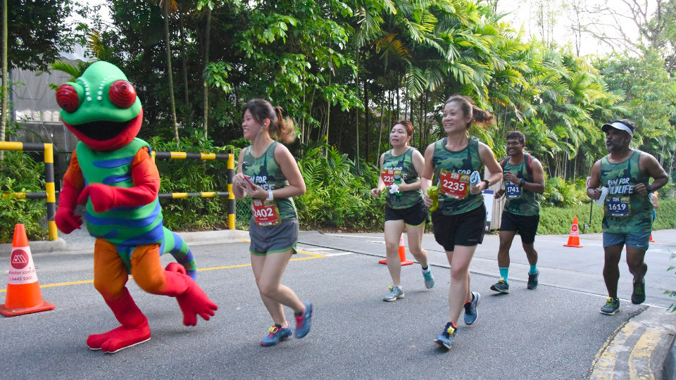 Safari Zoo Run 2020: Don’t Miss the Last Edition to Run in the Zoo