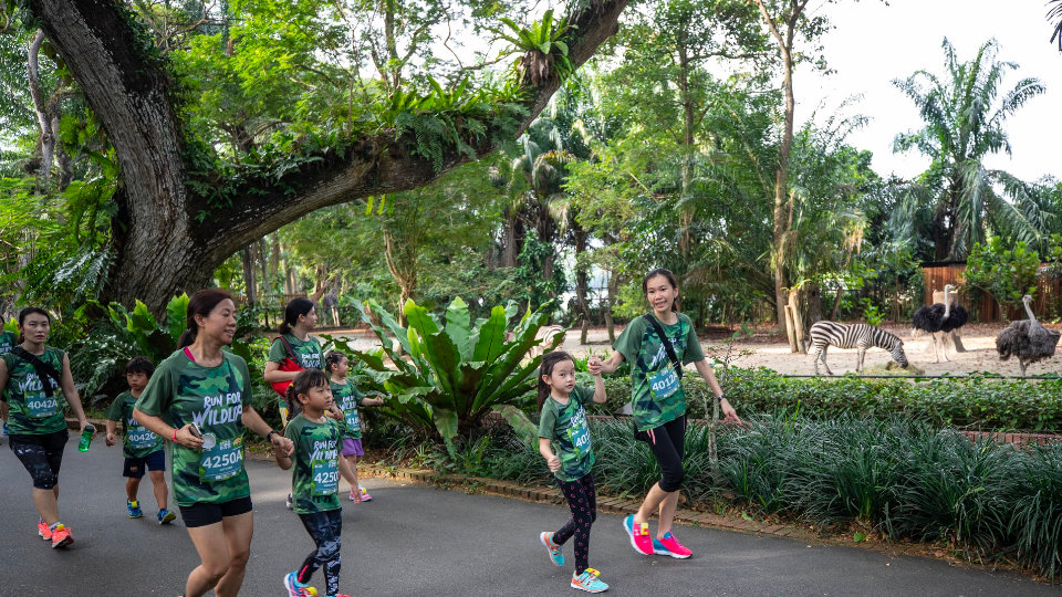 Safari Zoo Run 2020: Don’t Miss the Last Edition to Run in the Zoo