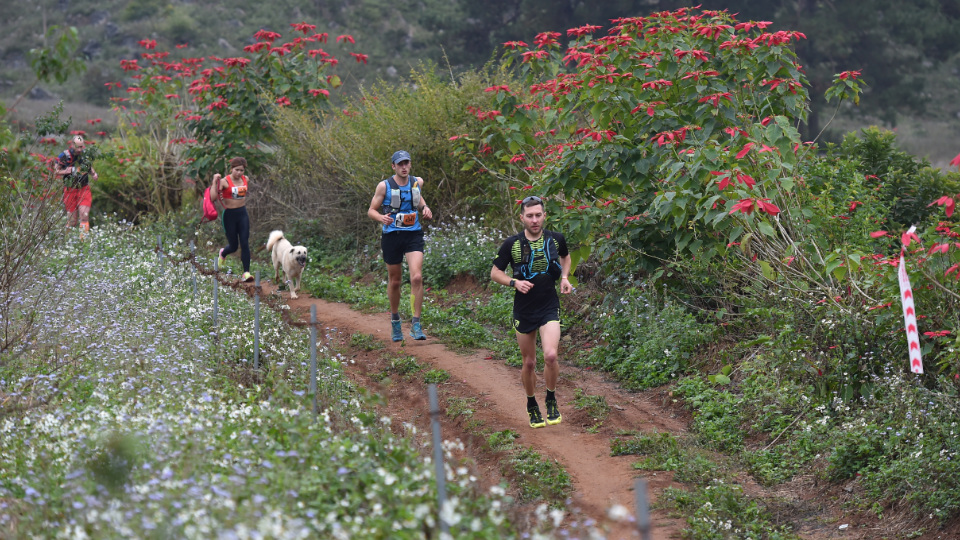 Two year old dog conquers 42km Vietnam Trail Marathon