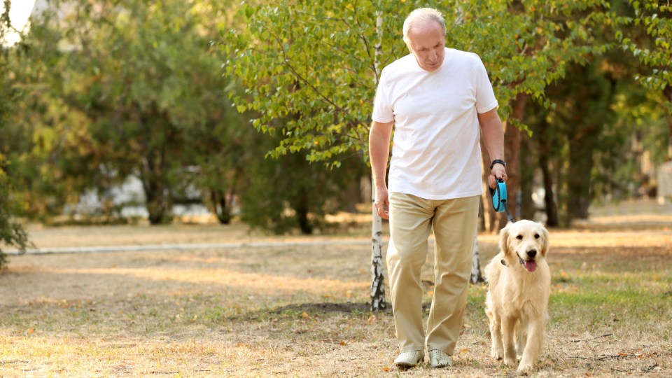 Why Power Walk Is The Best Exercise For Seniors