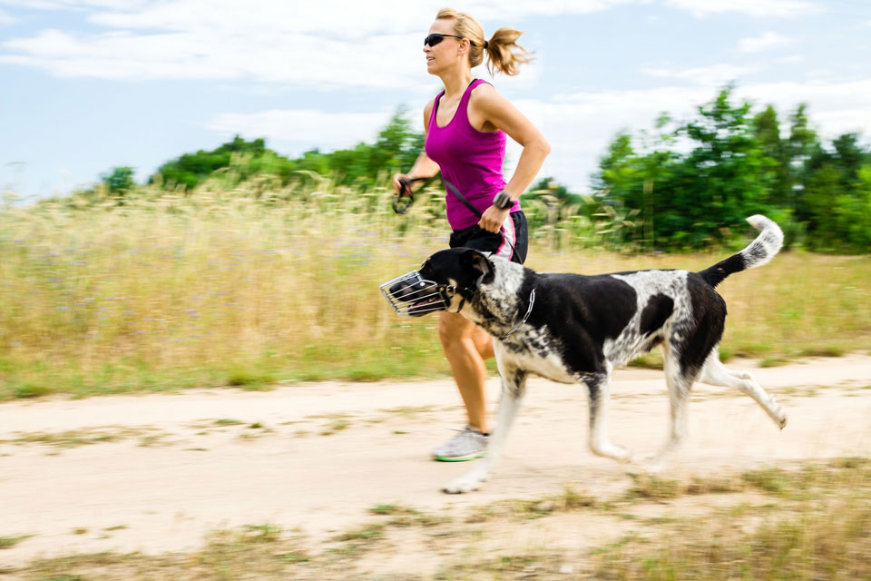 Why You Should Run With Your Dog