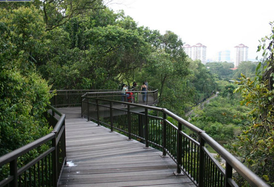 Jogging Paths In Singapore Not To Be Missed, Part 1