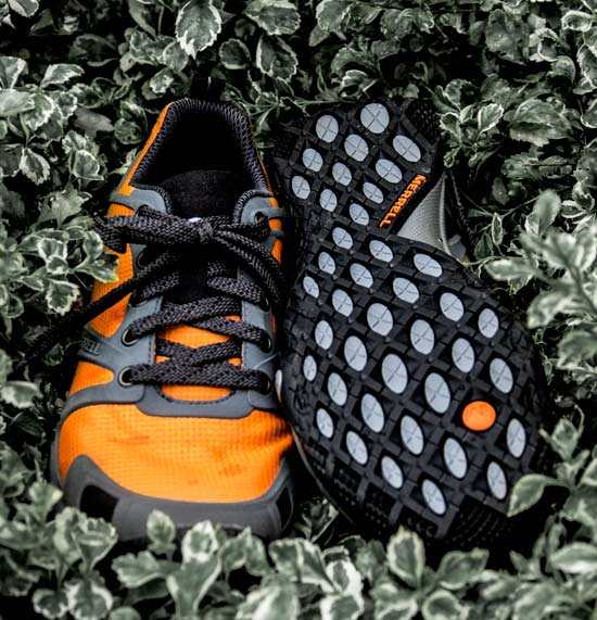 To Hike Or To Run With The Proterra Sport