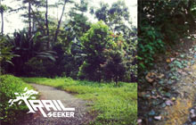 The Trailseeker 2013