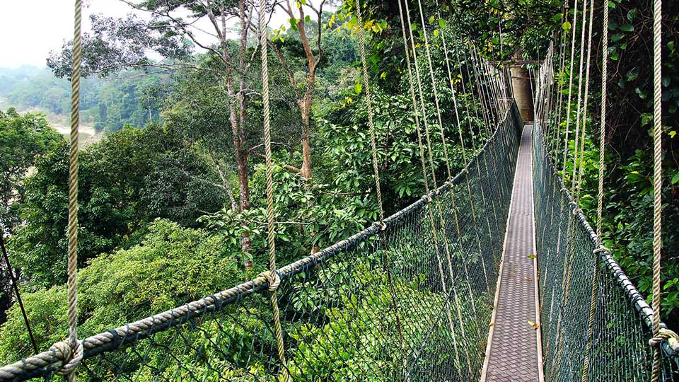 Running Wild at 10 National Parks in Malaysia