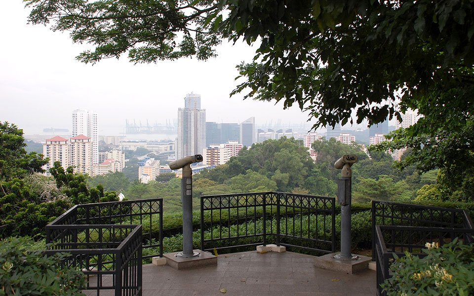Singapore Hill Running and Trekking: 10 Best Hills To Explore for Nature Runners