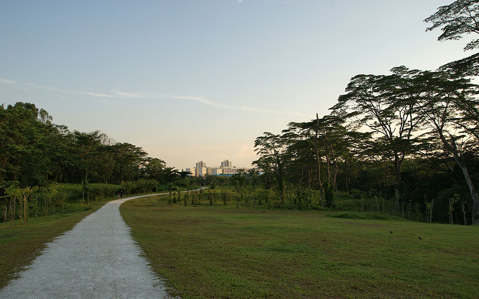 Exploring 6 Interesting Parks in Singapore that are Off the Beaten Track!