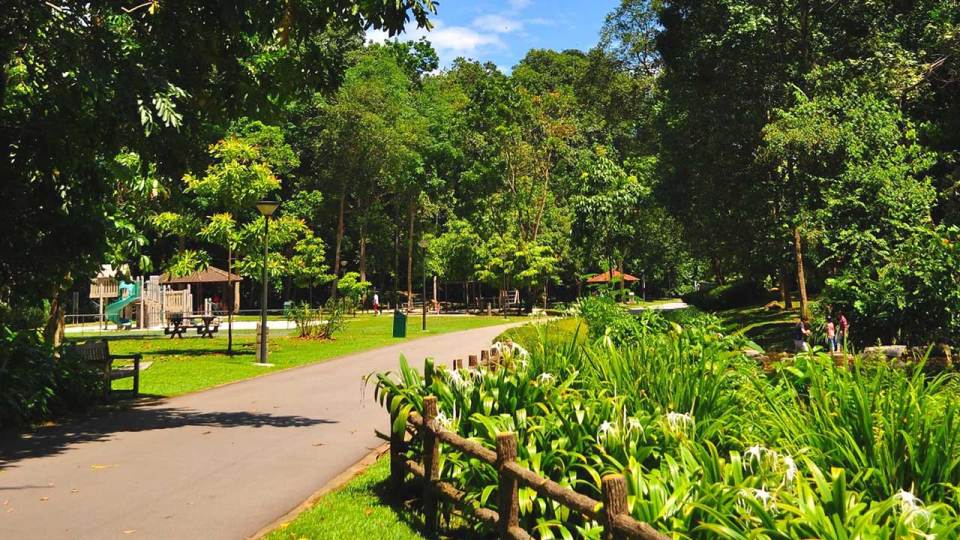 Exploring 6 Interesting Parks in Singapore that are Off the Beaten Track!