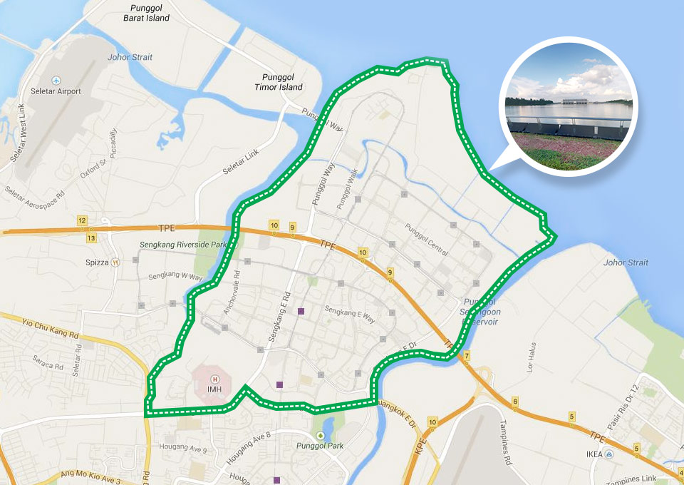 Conquer Singapore by Running Around the Island via 150km Park Connector Loops