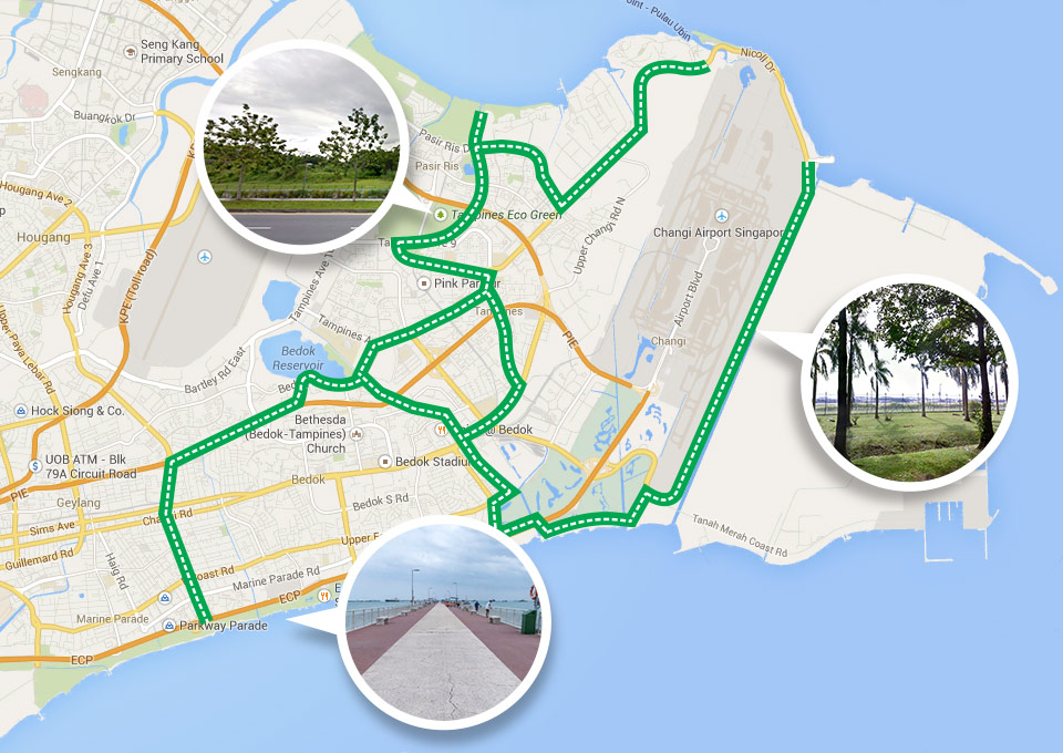 Conquer Singapore by Running Around the Island via 150km Park Connector Loops