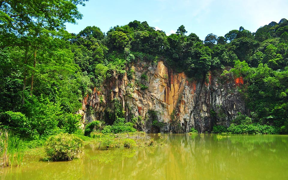 Singapore's Nature Reserves Everyone Should Explore