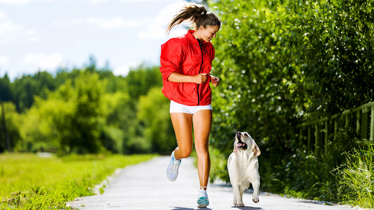Doesn't Your Canine Buddy Deserve a Great Run, Too? 