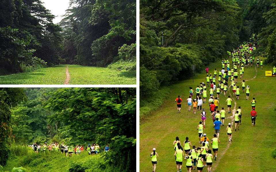 Green Corridor Run 2015 Edition Poses Unique Charity Challenge