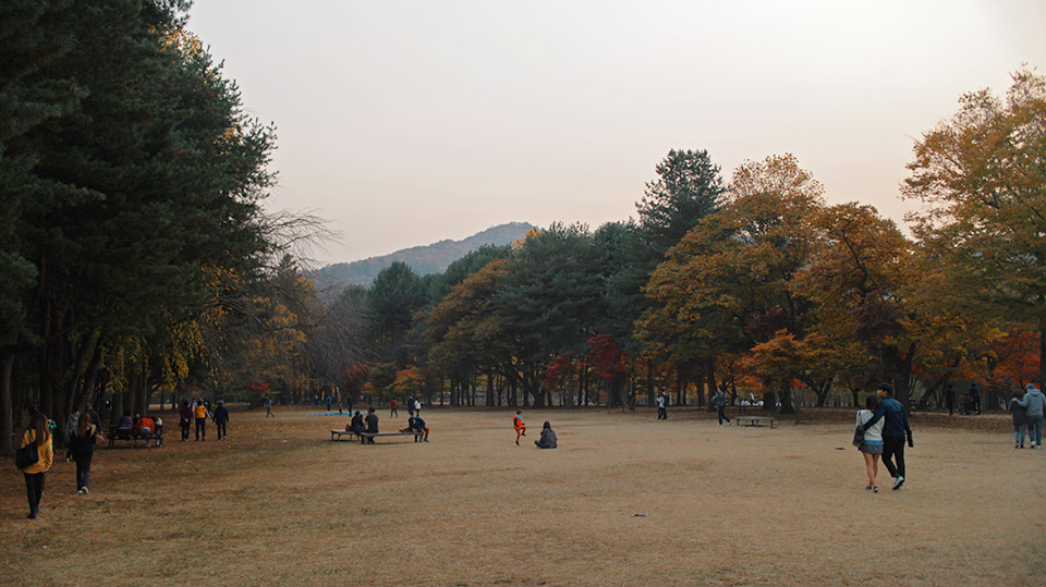 10 Reasons to go Sightseeing in Korea After Running an Autumn Marathon