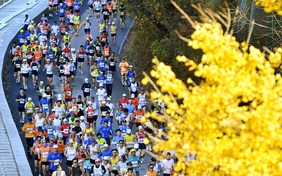 5 Astounding Korea Races You Must Absolutely Know