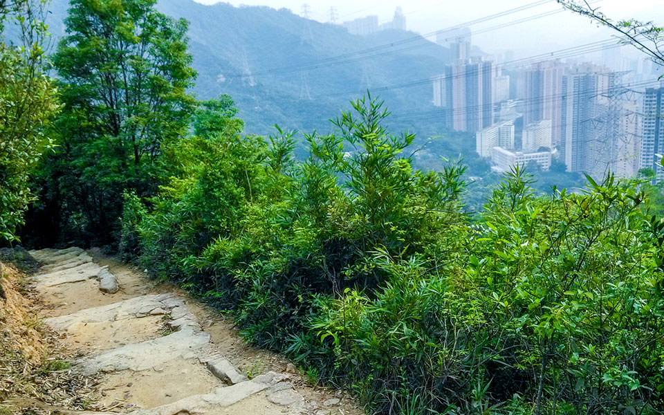 Best Running Trails in Hong Kong: 10 Fantastic Routes To Explore