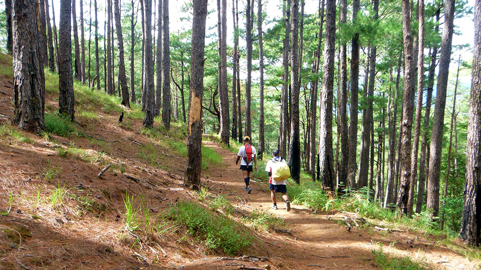 11 Great Running Trails in the Philippines