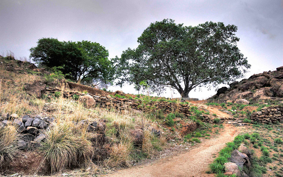 The Most Incredible Running Trails in India