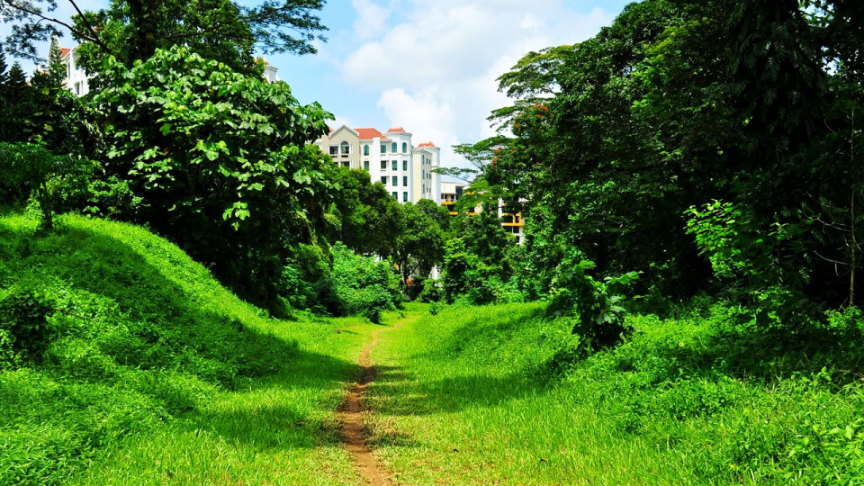Trail Running in Singapore – Return to Nature