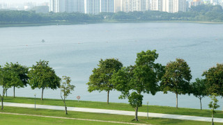Best Singapore Park Connector Running Routes