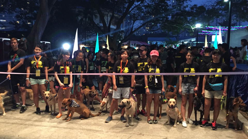Feet & Paws in the Hundreds at SG’s Largest Canine-Human Charity Run