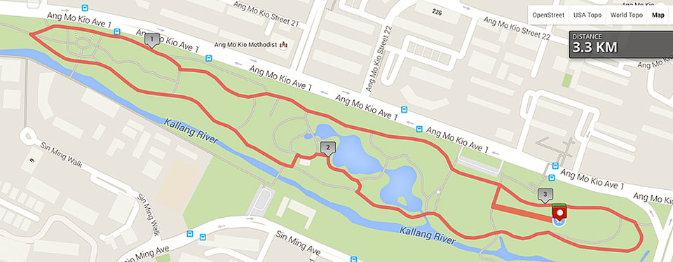 The Great Relay Singapore 2016 Race Route