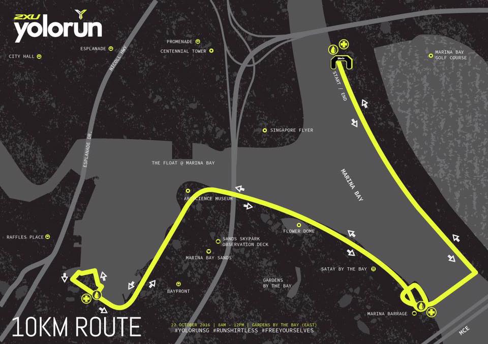 YOLO Run 2016