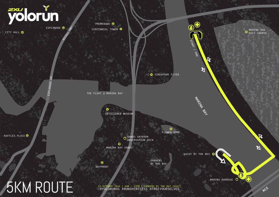 YOLO Run 2016