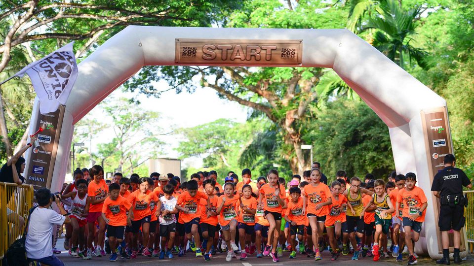 Here Are More Exciting Reasons to Join The Safari Zoo Run 2017!