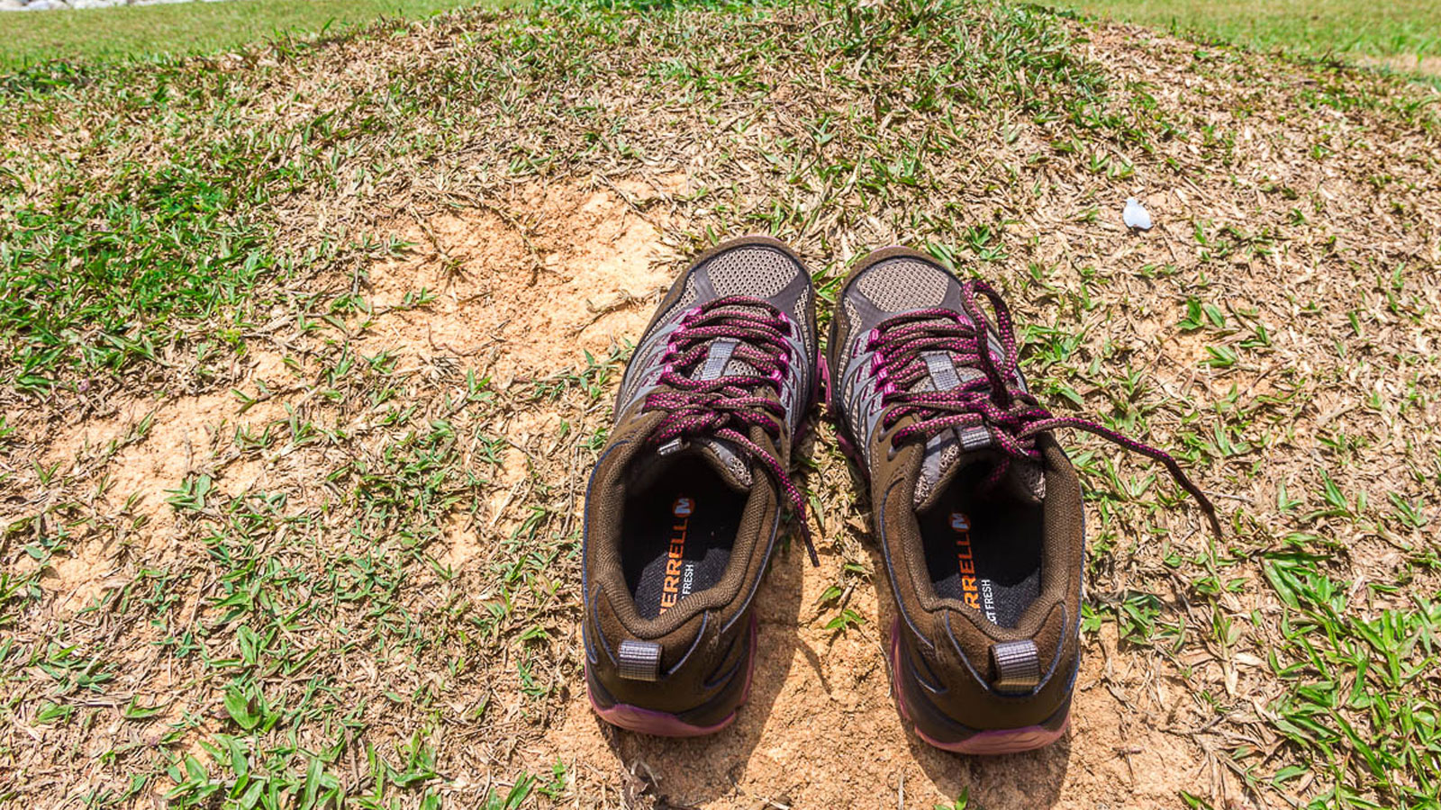 Merrell Women's Moab FST Waterproof - The Kind of Shoes that Want to Wear Everywhere You Go