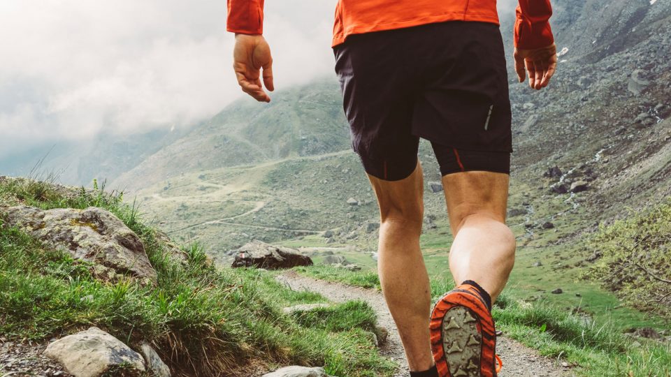 Could You Survive if You Got Lost on a Trail Run?
