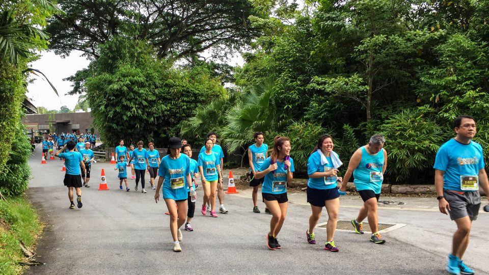 Safari Zoo Run 2017 Race Review: Support Wildlife Conservation by Running