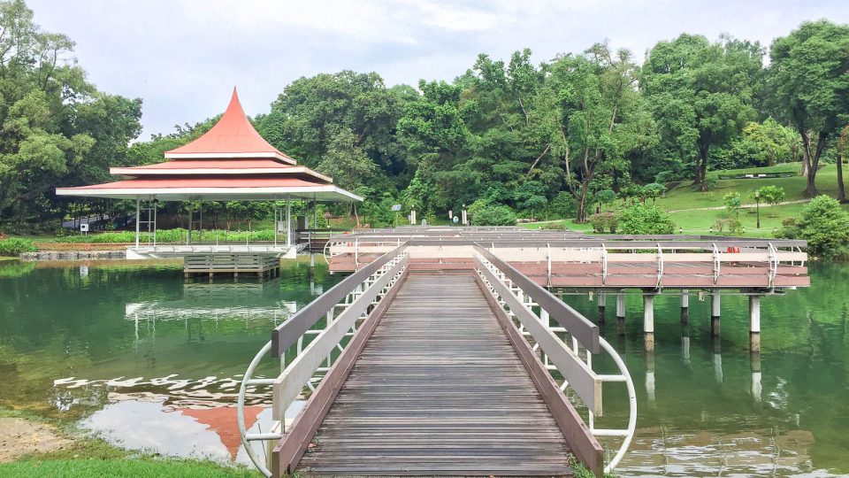 What You Need to Know About Our New MacRitchie Reservoir Park