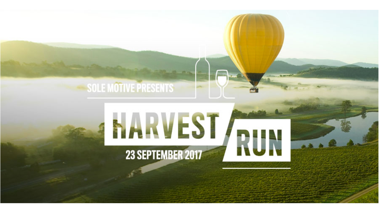 Harvest Run RunSociety Asia's Leading Online Running Magazine
