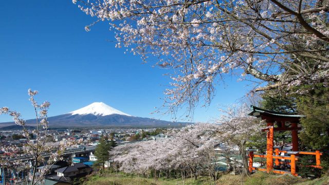 Running Events in Japan
