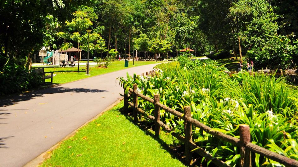 Singapore Running Parks In the West