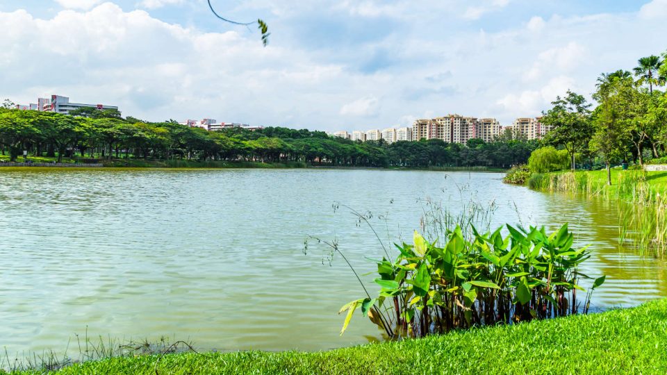 4 Singapore Running Parks in the South