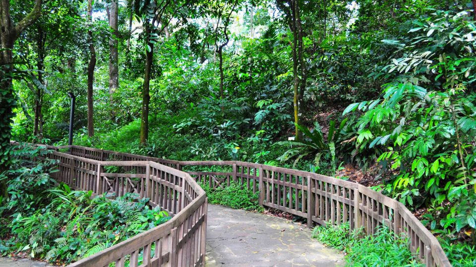7 Singapore Running Parks In The Central