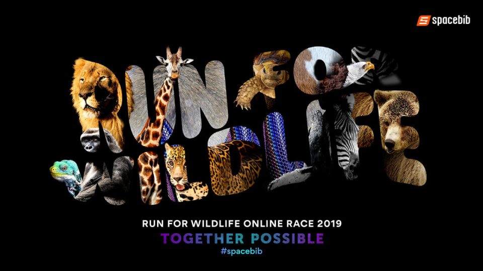 Run For Wildlife Online Race 2019