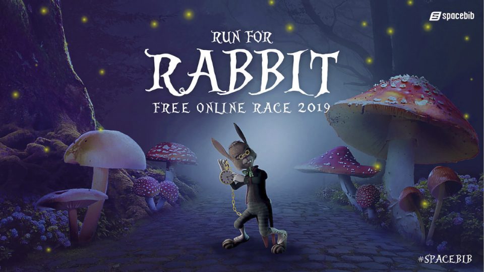 Run For Rabbit Free Online Race 2019
