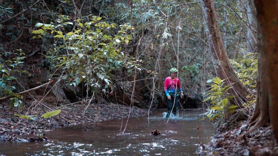 Pony Yaeng Trail 2019